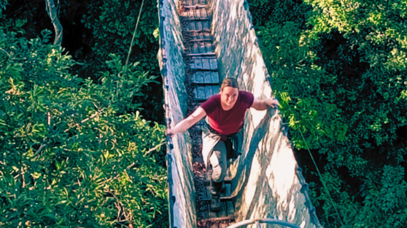 Programa Night Safari – Caimaneo de 2D/1N en Tambopata, Madre de Dios, Perú.